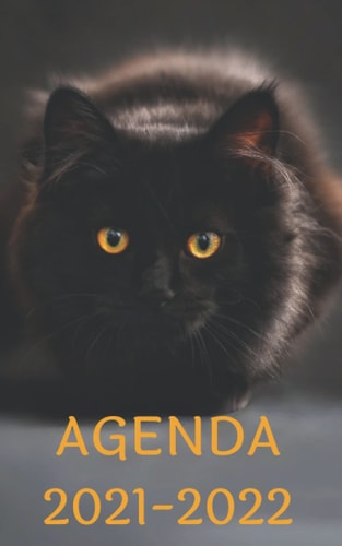 AGENDA 2021 2022: CHAT | ANIMAUX | MIGNON | FILLE | Planificateur Journalier et Semainier | Septembre 2021 à Septembre 2022 | Format idéal pour emmener en cours (French Edition)