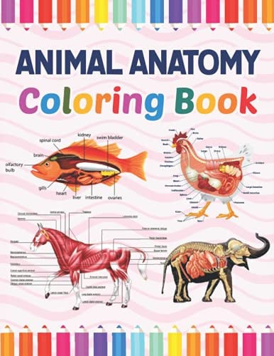 Animal Anatomy Coloring Book The New Surprising Magnificent Learning Structure for Veterinary Anatomy Students. Introduction to Animal Anatomy and Physiology Workbook. Vet Tech Coloring Books. Animal Anatomy and Physiology Coloring Book