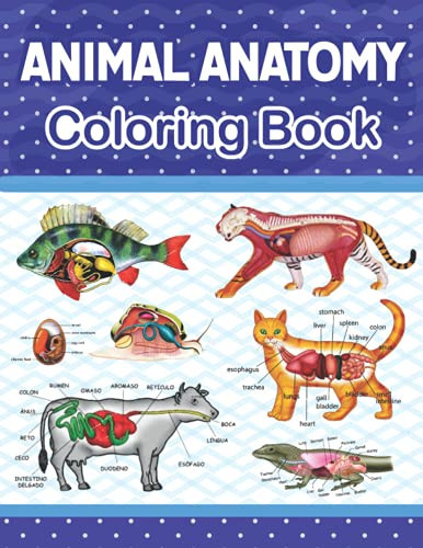 Animal Anatomy Coloring Book Introduction to Animal Anatomy and Physiology Workbook. Beautiful Design for Students. Younger Kids for Learn Anatomy of Dog Cat Horse Turtle Frog Bird Fish Cow and More. Animal Anatomy and Physiology Coloring Book