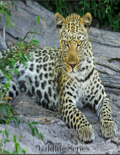 Notebook: Wildlife Series