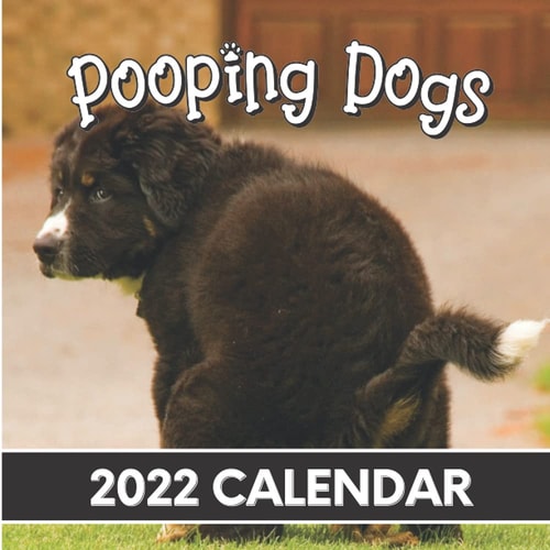 Pooping Dogs 2022 Calendar: Funny pooches in awkward positions in nature - planner for White Elephant Gag Secret Santa Birthday Christmas - Perfect joke prank and hilarious Gift