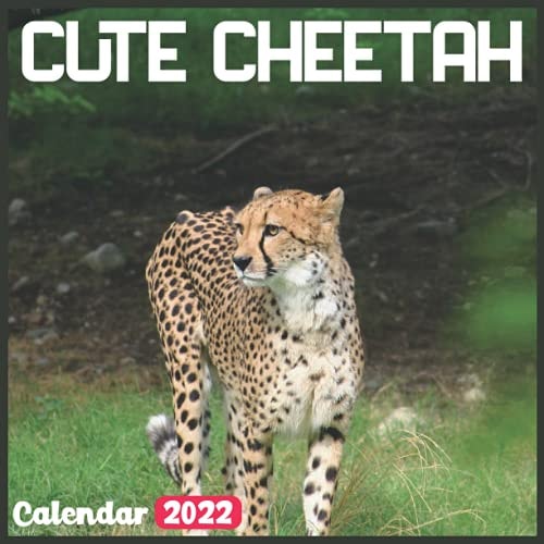 Cute Cheetah Calendar 2022: Official Animals Calendar 2022, 18 Month Photo of Cute Cheetah calendar 2022, Mini Calendar