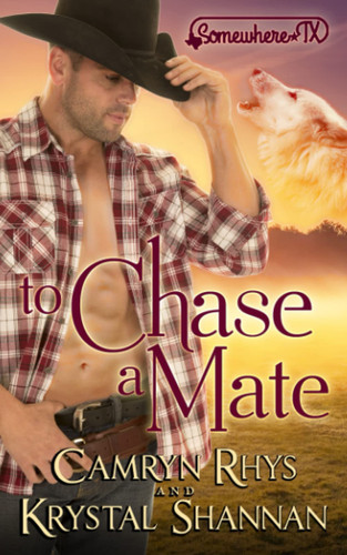 To Chase A Mate: Somewhere, TX (VonBrandt Wolf Pack)
