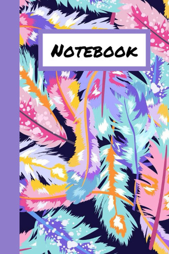 Notebook: Cute Coloful Feather Design Notebook 100 Blank Lined Pages 6x9