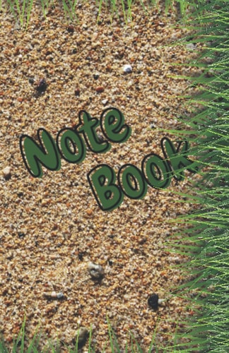 Lined Notebook, Maybe a Diary, Maybe What You Want Notebook Diary