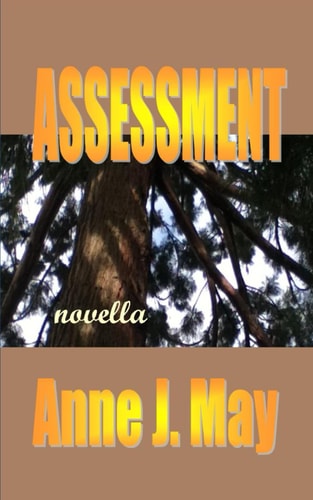 Assessment: A mystery featuring elder care