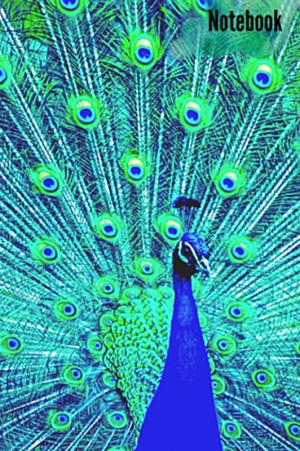 Notebook: Peacock notebook college rule