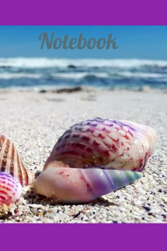 Beach Seashell Notebook 6x9 in. 120 page college ruled: Personal note taking, journaling, tracker. Inspirations, goals, dreams