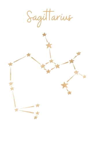 Sagittarius Day Planner 2021 Academic Planner