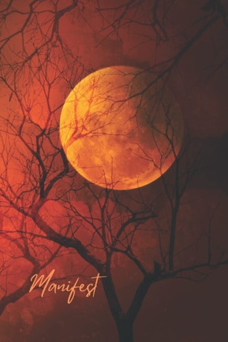 Manifest Journal Notebook Diary Lined 120 Page 6x9” Gift Women’s Girls Witch Full Moon Goddess Autumn Halloween Terri Foss