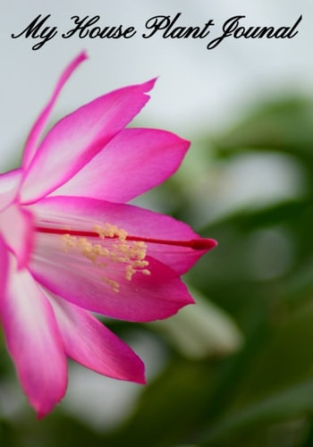 My House Plant Journal: Never forget the day you water of fertilizer your house plant.