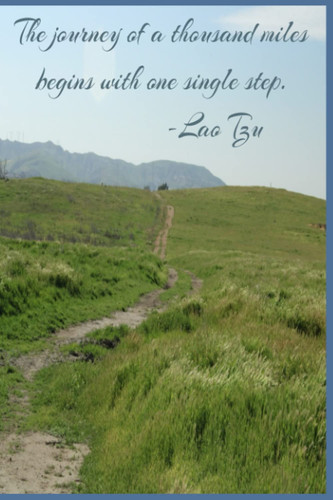 The Journey of a thousand miles begins with one single step - Lao Tzu