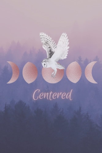 Centered Journal Notebook Diary Lined 120 Page 6x9” Gift Girls Women’s Witch Moon Phases Goddess Owl Bird Nature By Terri Foss