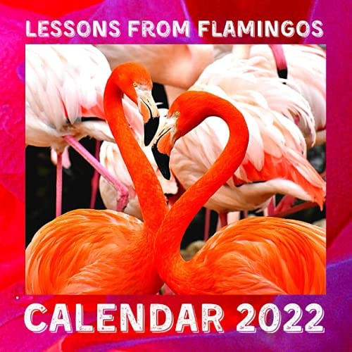 Lessons From Flamingos Calendar 2022: November 2021 - December 2022 Monthly Planner Mini Calendar With Inspirational Quotes