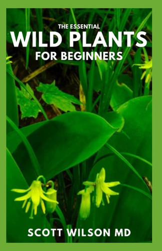 THE ESSENTIAL WILD PLANTS FOR BEGINNERS: The Complete Guide to Identifying and Preparing Edible Wild Plants And Live well