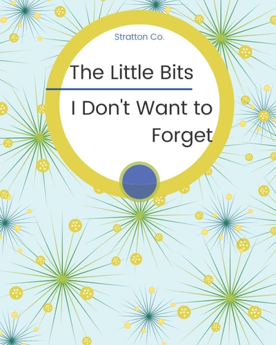 The Little Bits I don't Want to Forget