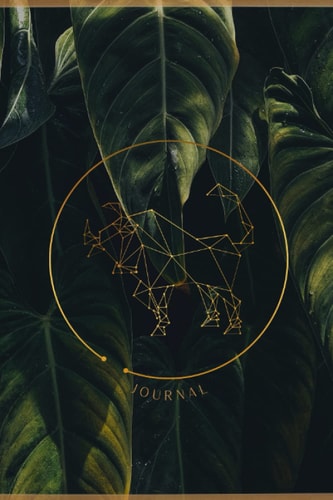 Luscious Taurus: The Journal: Work hard, play hard Taurus
