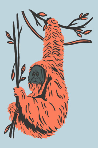orangutan aesthetic notebook 120-page college rule 9x6