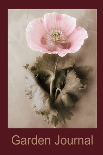 Garden Journal: Paeonia Somniferum