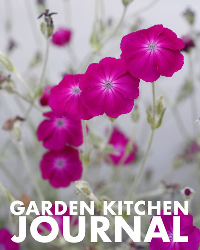 Garden Kitchen Journal: Journal and notebook