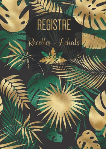 Registre recettes achats auto-entrepreneur: Livre de compte recettes et dépenses - cahier de comptabilité conforme aux obligations des auto-entrepreneurs et micro-entrepreneurs (French Edition)