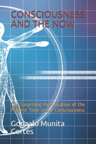Consciousness and the Now The Surprising Participation of the Present Time in Our Consciousness
