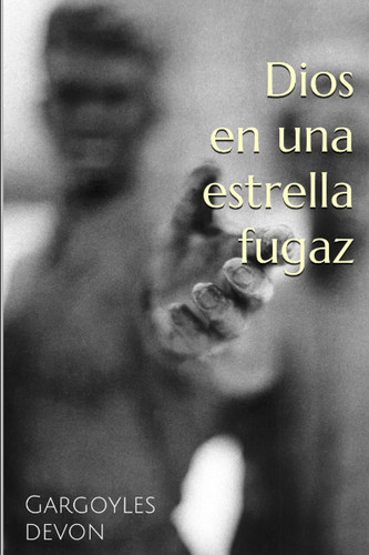 Dios en una estrella fugaz (Spanish Edition)