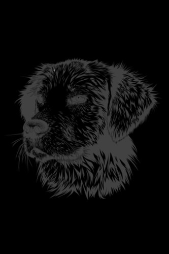 Black Cover with Dog Journal: Happiness, Mindfulness, Wellness, Self-Care and Inspirational Journaling (Animal Cover Journal)