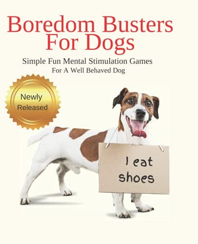 Boredom Busters