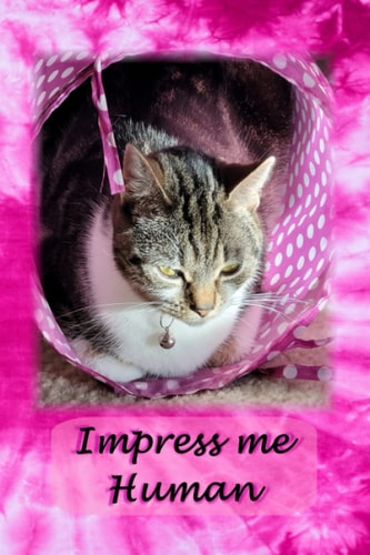 Journal - Impress Me Human