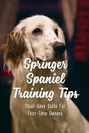 Springer Spaniel Training Tips: Must-Have Guide For First-Time Owners