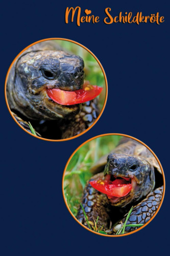Meine Schildkröte: Liebenswerte Schildkröten mit Tomate. Schildkröten Notizbuch, Geschenk für Schildkrötenzüchter, Terrariumfreunde. Geschenk für ... Journal, Seidenglanzcover (German Edition)