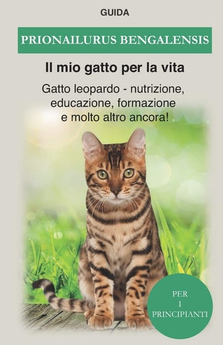 Prionailurus bengalensis Gatto Bengala - nutrizione, educazione, formazione e molto altro ancora!