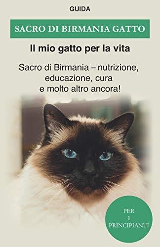 Sacro Di Birmania Gatto Sacro Di Birmania - Nutrizione, Educazione, Cura e Molto Altro Ancora!