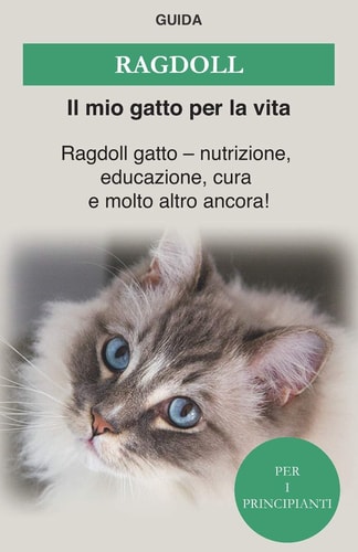 Ragdoll Ragdoll Gatto - Nutrizione, Educazione, Cura e Molto Altro Ancora!