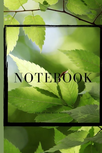 notebook: journal notes size 6*9 120 pagr