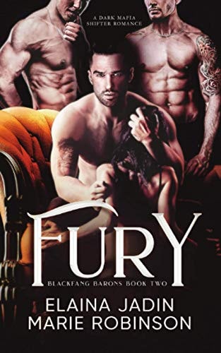 Fury: a Dark Mafia Shifter Romance