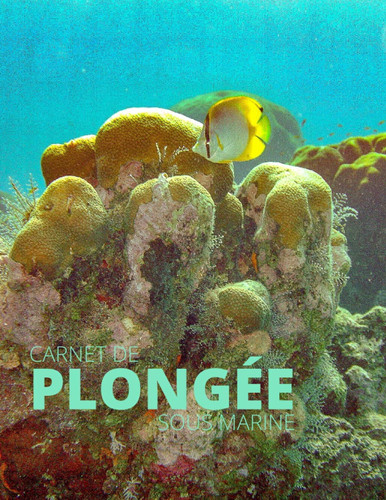 Carnet De Plongée Sous Marine: pour consigner 120 plongées sous marine | entraînement, certification et plaisir | dive logbook scuba log book en ... homme femme ado enfant (French Edition)