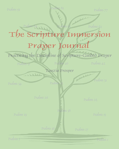 The Scripture Immersion Prayer Journal Practicing the Discipline of Scripture-Guided Prayer