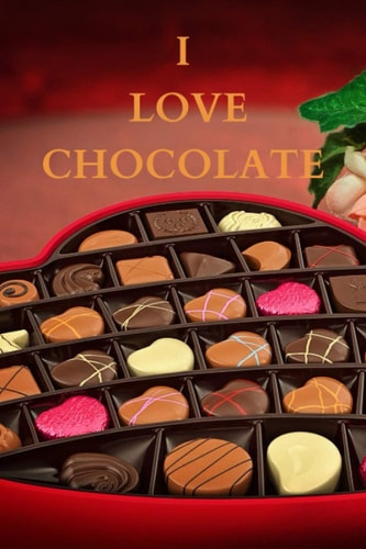 i love chocolate notebook: white lined paper notebook lovely cover sweet gift for chocoholic