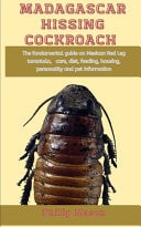 Madagascar Hissing Cockroach The Fundamental Guide on Madagascar Hissing Cockroach, Care, Diet, Feeding, Housing, Personality and Pet Information