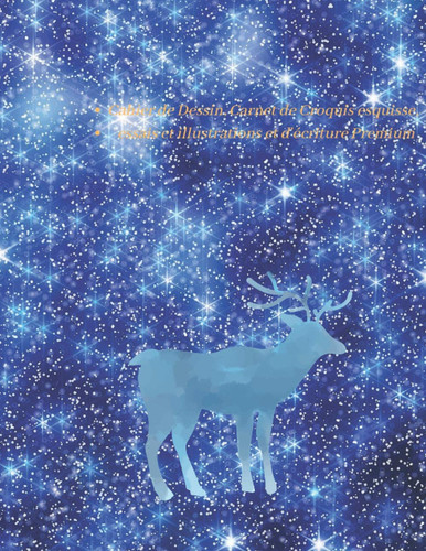 Cahier de Dessin, Carnet de Croquis esquisse, essais et illustrations et d'écriture Premium ( shooting star ): 8.5 x 11 inch 21.59 x 27.94 cm 100 feuilles shooting star (French Edition)