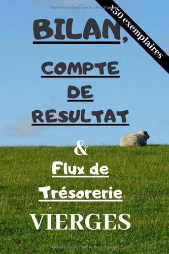 Bilan, Compte de Résultat & Flux de Trésorerie VIERGES: x50 exemplaires de chaque tableaux comptables pré-remplis pour apprendre la comptabilité ... autrement, c'est possible ! (French Edition)