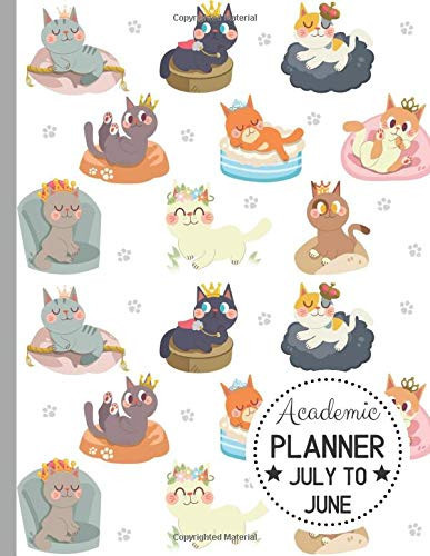 Academic Planner July to June: A 12 Month Dated Agenda Calendar Organizer with a Princess Cat Kitty Theme