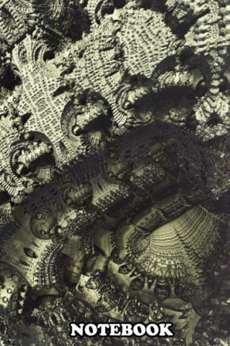 Notebook: Surface Of Fractals , Journal for Writing, College Ruled Size 6" x 9", 110 Pages