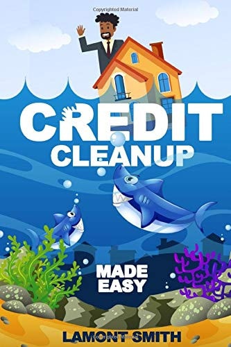 Credit Cleanup Made Easy