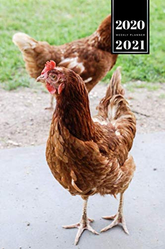 Chicken Poultry Farmer Farming Agriculture Week Planner Weekly Organizer 2020 / 2021 - Exploring the Road: Animal Lover Pet Owner Gift Idea - Schedule Notebook Journal in 6" x 9" Inch