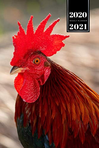 Chicken Poultry Farmer Farming Agriculture Week Planner Weekly Organizer 2020 / 2021 - Very Red Serrated: Animal Lover Pet Owner Gift Idea - Schedule Notebook Journal in 6" x 9" Inch
