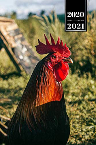 Chicken Poultry Farmer Farming Agriculture Week Planner Weekly Organizer 2020 / 2021 - Looking Into the Sunset: Animal Lover Pet Owner Gift Idea - Schedule Notebook Journal in 6" x 9" Inch