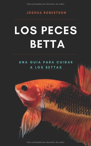 Los Peces Betta: una Guía para Cuidar a Los Bettas